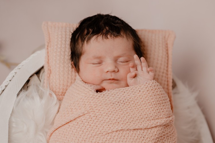 Newborn fotograaf Brecht