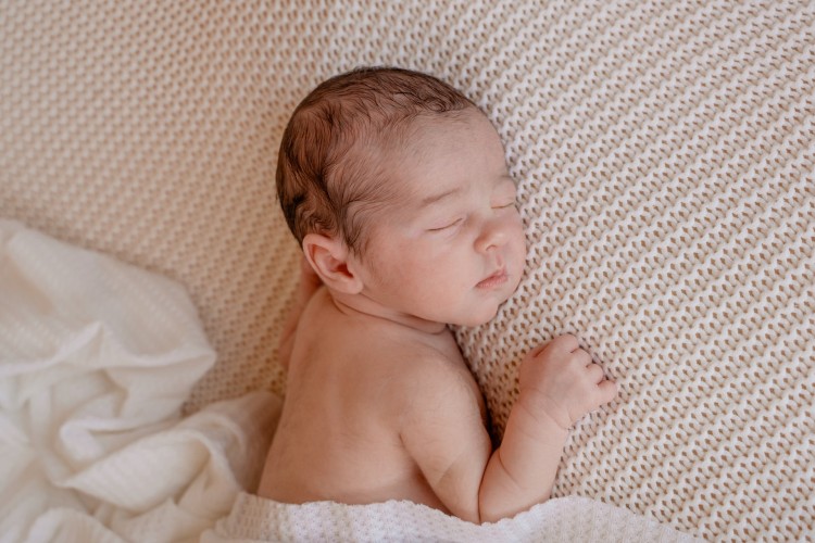 Newbornfotograaf Hoogstraten