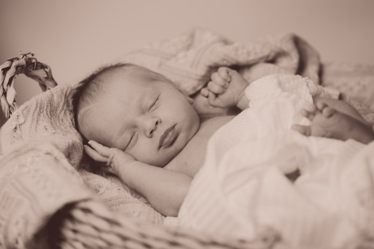 Newborn fotograaf Lille Newborn fotograaf Lille