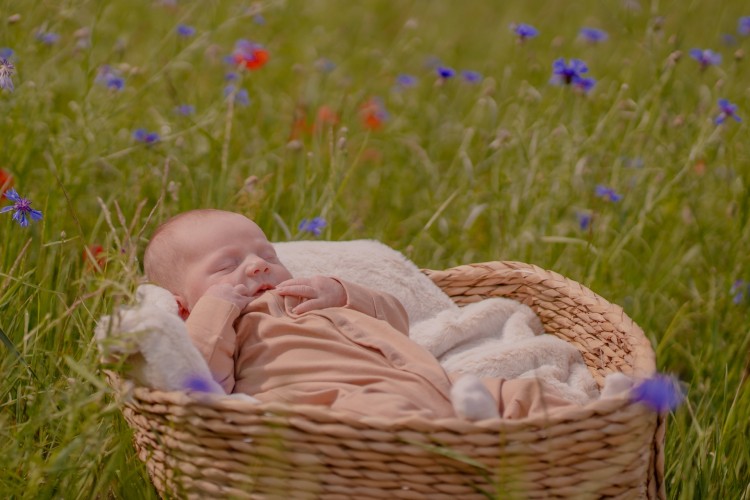 Newborn fotograaf Brecht Newborn fotograaf Brecht